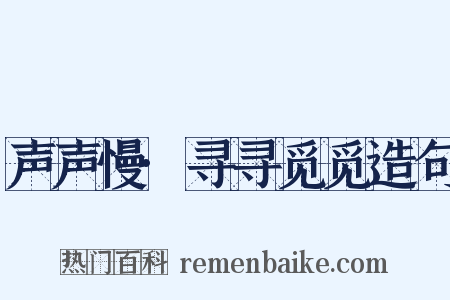声声慢·寻寻觅觅造句是什么意思的图片